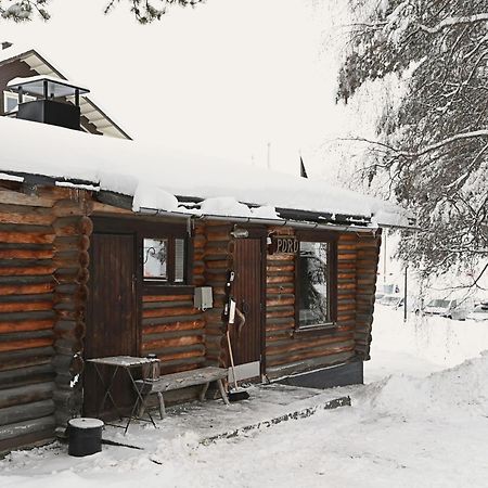 Classic Log Cabin Ski-In Ski-Out 列维 外观 照片
