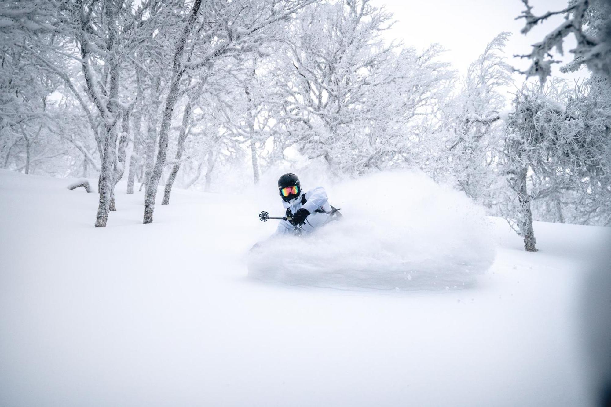 Classic Log Cabin Ski-In Ski-Out 列维 外观 照片